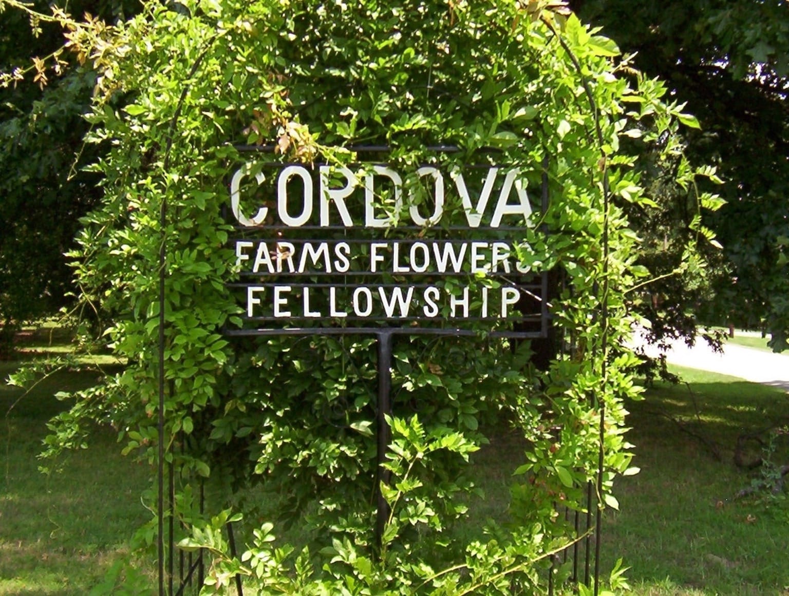 cordova moving company my town movers